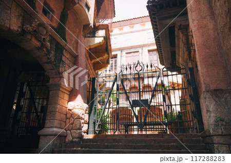 閉園中のテーマパーク 117288283