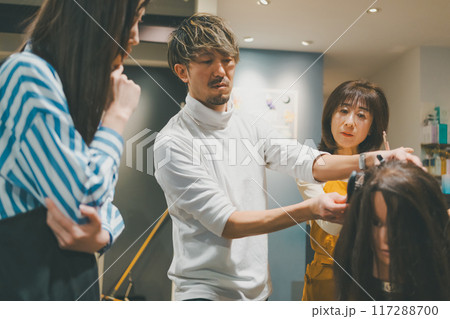 beauty parlor 117288700