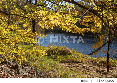 Serene Fly Fishing in a River in the Snowy Mountains 117288890