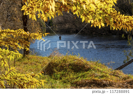 Serene Fly Fishing in a River in the Snowy Mountains Serene Fly Fishing in a River in the Snowy Mountains 117288891