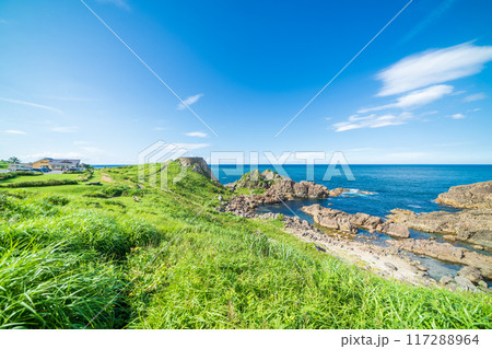 「青森県」青空と葦毛崎展望台　種差海岸 117288964