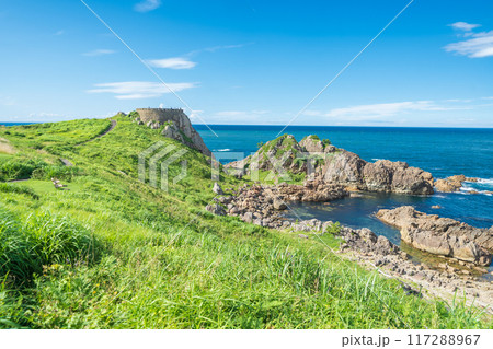 「青森県」青空と葦毛崎展望台　種差海岸 117288967