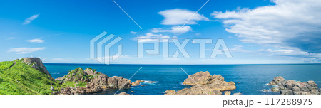 「青森県」青空と葦毛崎展望台　種差海岸 117288975