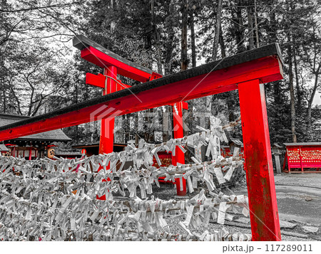 神社の境内～赤い鳥居と絵馬掛けとおみくじ結び所～ 117289011