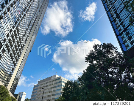 都会の高層マンションと青空と白い雲、昼 117289201