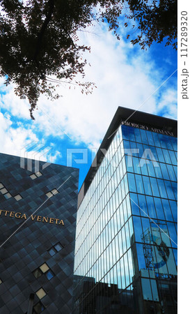 東京都中央区の銀座のビル群の風景（ボッテガ・ヴェネタ 銀座フラッグシップ、アルマーニ銀座タワー） 117289320