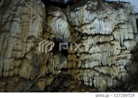 ベトナム・ドンホイ、天国の洞窟 ベトナム・ドンホイ、天国の洞窟 117289729