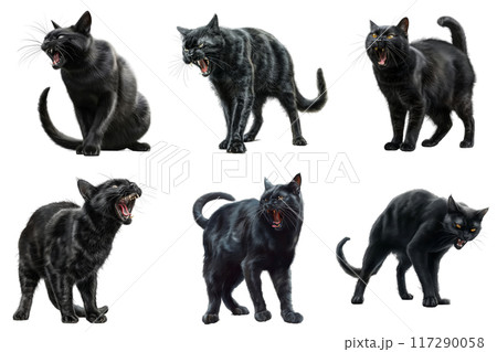 Six Black Cats in Various Poses, Ferociously Growling 117290058
