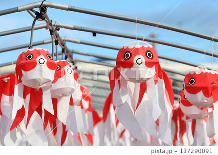 柳井 金魚ちょうちん祭り2489 柳井 金魚ちょうちん祭り2489 117290091