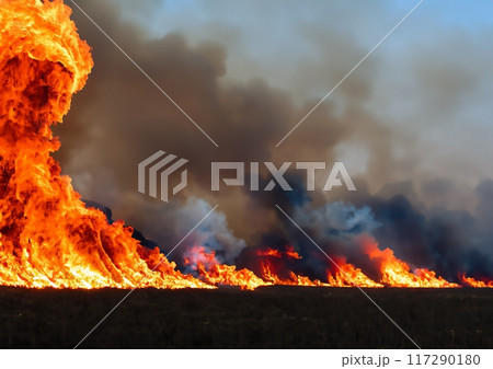 山火事イメージ 117290180