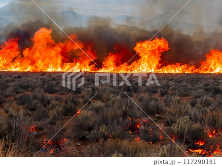 山火事イメージ 117290181