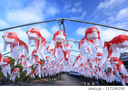 柳井　金魚ちょうちん祭り2415 117290298