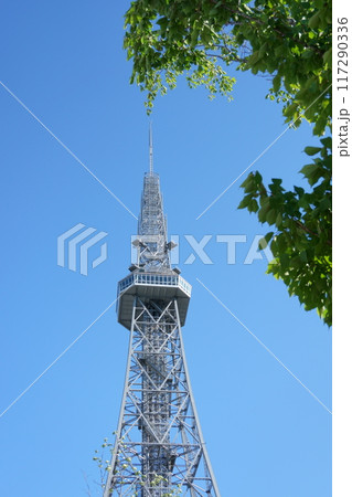 新緑と青空を背景にした名古屋テレビ塔 117290336