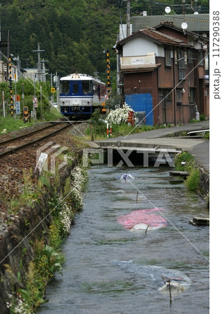 鳥取 四季の散歩 鯉のぼりが泳ぐ川 瀬戸川 鳥取 四季の散歩 鯉のぼりが泳ぐ川 瀬戸川 117290388
