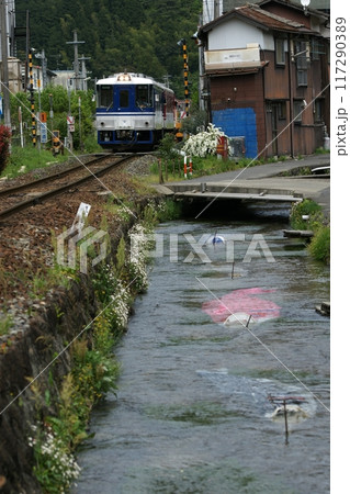 鳥取　四季の散歩　鯉のぼりが泳ぐ川　瀬戸川 117290389