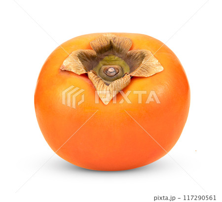 persimmon isolated on white background persimmon isolated on white background 117290561