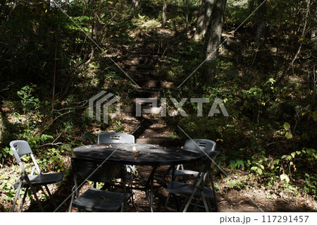 四季の散歩 秋 たじま高原植物園 四季の散歩 秋 たじま高原植物園 117291457