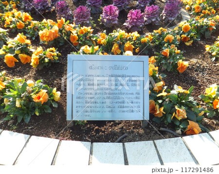 相模原麻溝公園の花時計説明 117291486