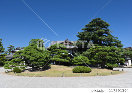 日本庭園の青空と緑豊かな木々 日本庭園の青空と緑豊かな木々 117291594