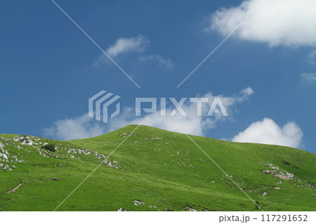 美しい夏の青空と雲 117291652