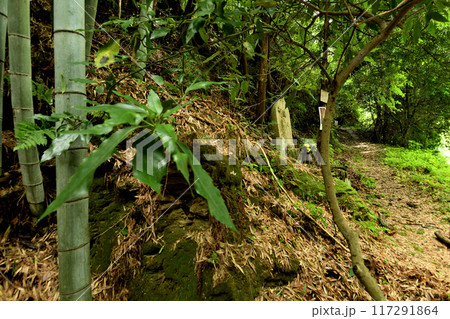 熊野古道(藤白坂) 【和歌山県海南市】 熊野古道(藤白坂) 【和歌山県海南市】 117291864