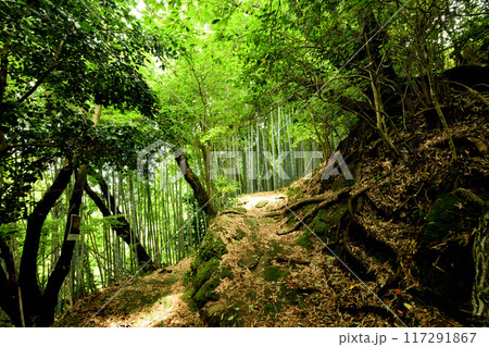 熊野古道(藤白坂)　【和歌山県海南市】 117291867