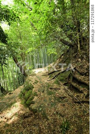 熊野古道(藤白坂)　【和歌山県海南市】 117291868