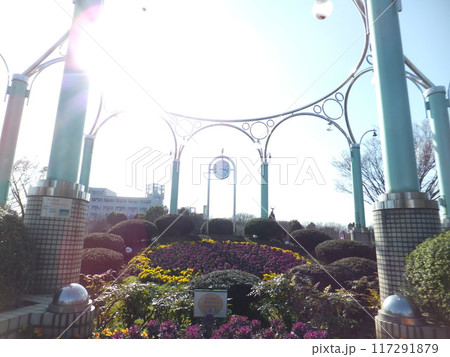 相模原麻溝公園の花時計 117291879
