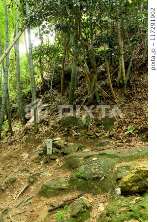 熊野古道(藤白坂・五丁目地蔵) 【和歌山県海南市】 熊野古道(藤白坂・五丁目地蔵) 【和歌山県海南市】 117291902