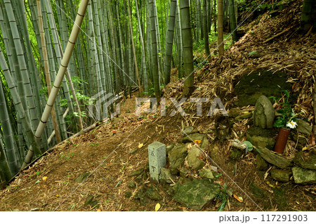 熊野古道(藤白坂・五丁目地蔵)　【和歌山県海南市】 117291903
