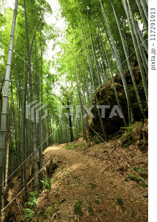 熊野古道(藤白坂・竹の道)　【和歌山県海南市】 117291913