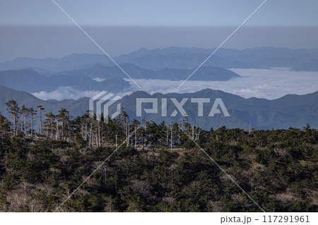 早朝の近畿の屋根大台ヶ原 早朝の近畿の屋根大台ヶ原 117291961