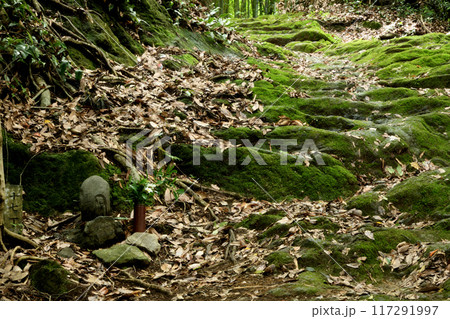 熊野古道(藤白坂・十七丁石地蔵) 【和歌山県海南市】 熊野古道(藤白坂・十七丁石地蔵) 【和歌山県海南市】 117291997