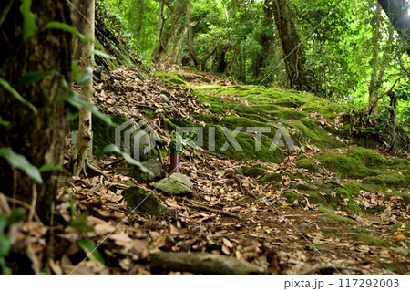 熊野古道(藤白坂・十七丁石地蔵)　【和歌山県海南市】 117292003