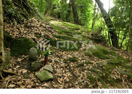 熊野古道(藤白坂・十七丁石地蔵) 【和歌山県海南市】 熊野古道(藤白坂・十七丁石地蔵) 【和歌山県海南市】 117292005