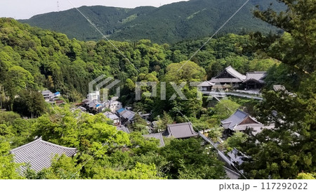 西国三十三所第八番札所 牡丹有名な長谷寺 西国三十三所第八番札所 牡丹有名な長谷寺 117292022