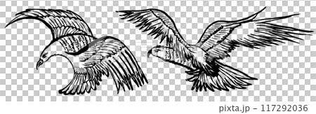 鷹鷹手寫畫筆插圖 鷹鷹手寫畫筆插圖 117292036