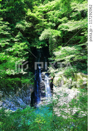【広島県】万緑の三段峡（姉妹滝） 117292062
