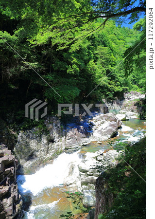 【広島県】万緑の三段峡 117292064