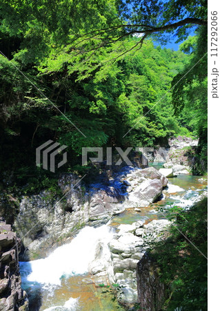 【広島県】万緑の三段峡 【広島県】万緑の三段峡 117292066
