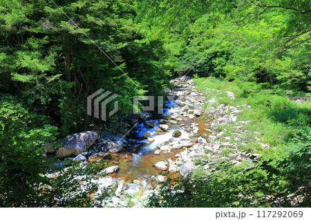 【広島県】万緑の三段峡 【広島県】万緑の三段峡 117292069