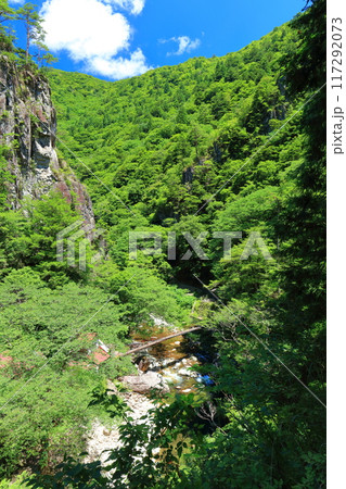 【広島県】万緑の三段峡（黒淵） 117292073