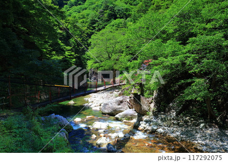 【広島県】万緑の三段峡（黒淵） 117292075