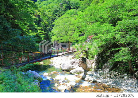【広島県】万緑の三段峡（黒淵） 117292076
