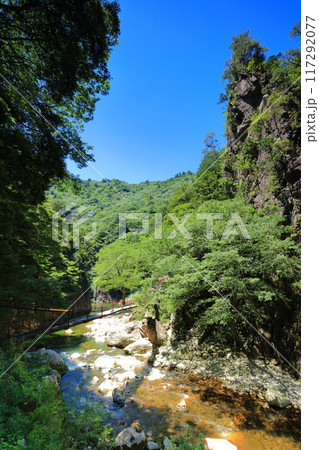 【広島県】万緑の三段峡(黒淵) 【広島県】万緑の三段峡(黒淵) 117292077