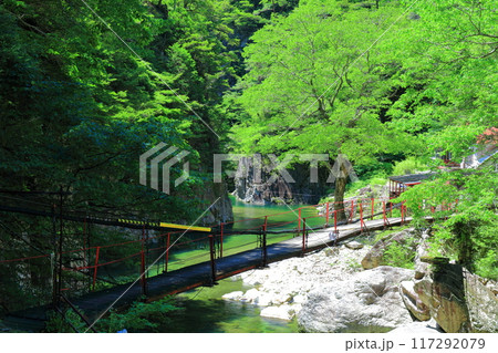 【広島県】万緑の三段峡(黒淵) 【広島県】万緑の三段峡(黒淵) 117292079