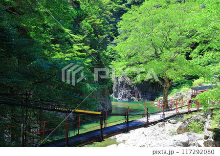 【広島県】万緑の三段峡（黒淵） 117292080