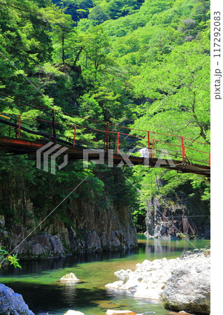 【広島県】万緑の三段峡(黒淵) 【広島県】万緑の三段峡(黒淵) 117292083