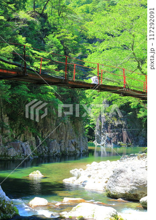 【広島県】万緑の三段峡（黒淵） 117292091