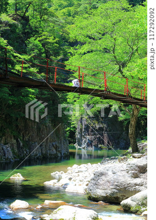 【広島県】万緑の三段峡（黒淵） 117292092